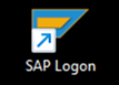 SAP Logon icon